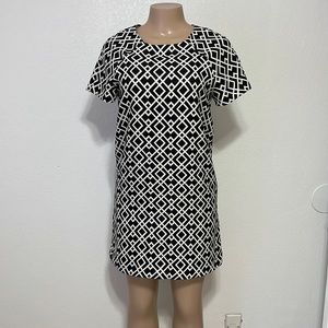 Zara Basic Work Dress